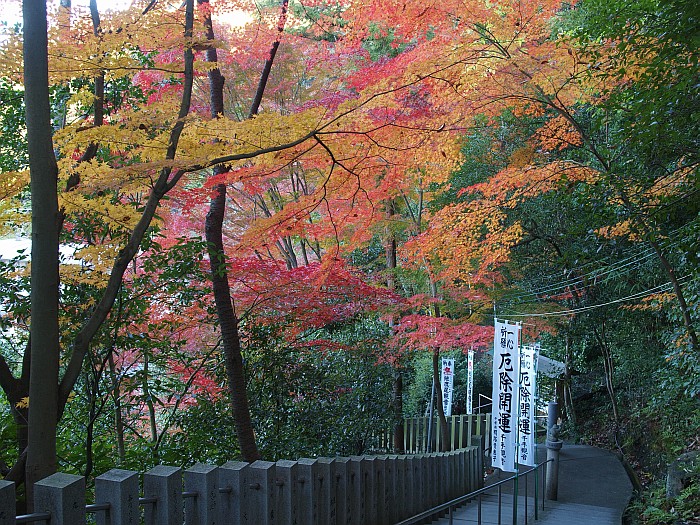 紅葉サイクリング　第３弾　その１　－犬山　寂光院－_e0075403_1833471.jpg