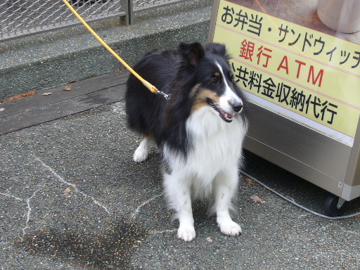 e0130008_20414441.jpg
