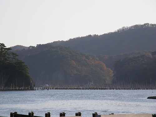 奥松島に牡蠣を食べに_c0200810_20501575.jpg