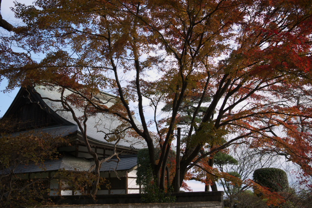 妙義神社GF1　その１_d0143011_22144832.jpg