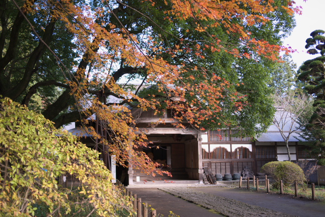 妙義神社GF1　その１_d0143011_22161473.jpg