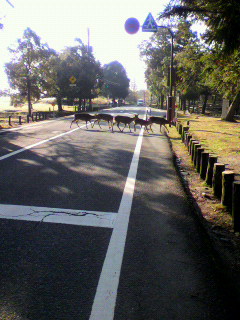 f0079111_2313982.jpg