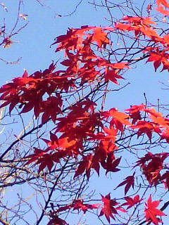 f0079111_23145566.jpg