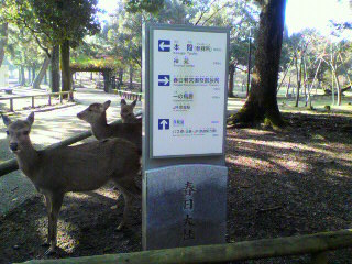 f0079111_239593.jpg