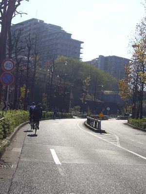 a0091314_014860.jpg
