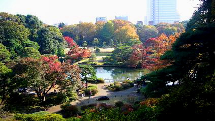 紅葉の大名庭園、六義園散歩（11月下旬）_c0192215_927466.jpg