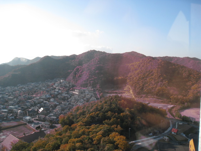 書写山の紅葉ほか_c0197220_843635.jpg