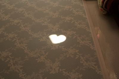 f0170524_1453398.jpg