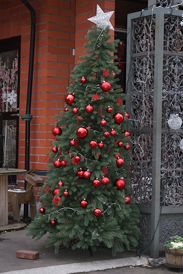 f0170524_14545526.jpg