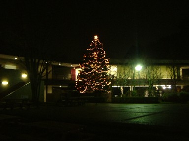 b0044825_2213015.jpg