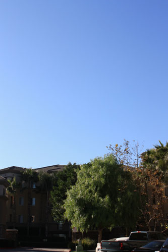 e0185225_6215020.jpg