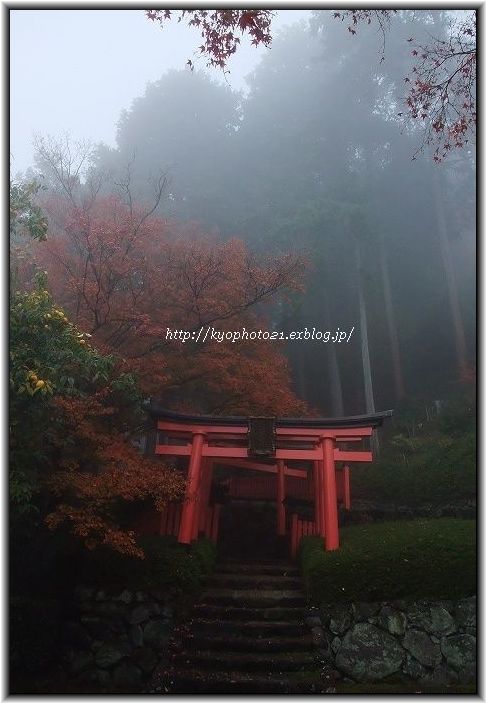 そうだ、もみじ見に行こ。　～霧のもみじ・善峯寺　①～_c0200027_21251888.jpg