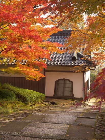 紅葉巡り2009～奈良・當麻寺その壱～(11/23)_e0080133_22583325.jpg