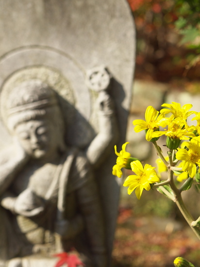 紅葉巡り2009～奈良・當麻寺その壱～(11/23)_e0080133_2303080.jpg