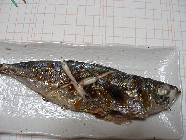 魚三昧、食欲の秋_c0010936_23441184.jpg