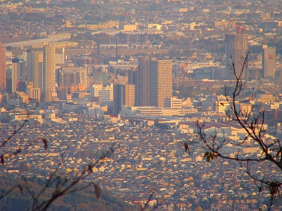 高尾山、番外編。_c0179736_16333376.jpg