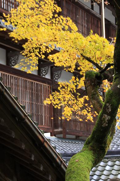 今年二度目の永平寺_e0090638_702490.jpg