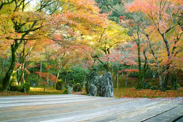 紅葉の「光明禅寺」写真集_f0201348_23334760.jpg