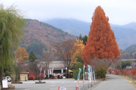 凸凹コンビ　－河口湖でもみじ狩り－の巻_f0142953_2346379.jpg