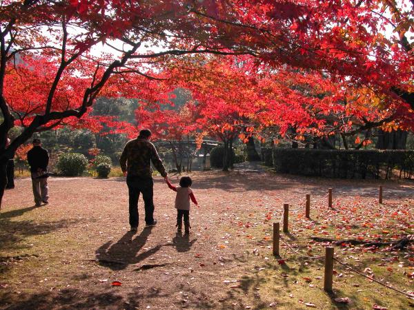 京都タワーが借景_f0129557_12161487.jpg