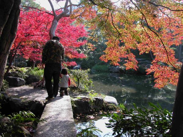 京都タワーが借景_f0129557_1218936.jpg