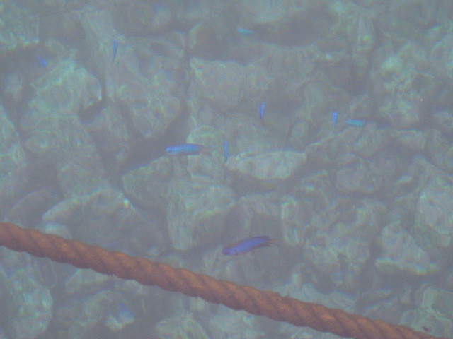 c0185858_16434291.jpg