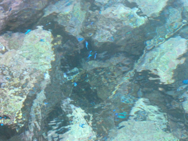 c0185858_1695146.jpg