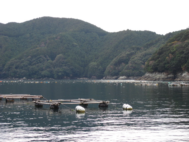 c0185858_169541.jpg