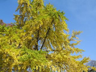 d0034659_06147.jpg