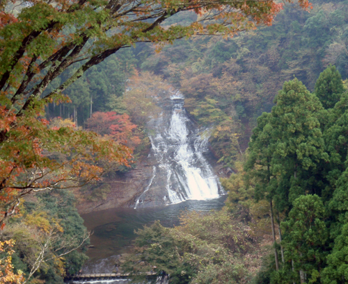 裏鹿野山に死す_d0083859_0391482.jpg