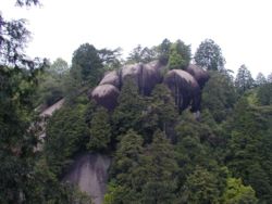 b0086362_21164826.jpg