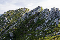 b0086362_21412363.jpg