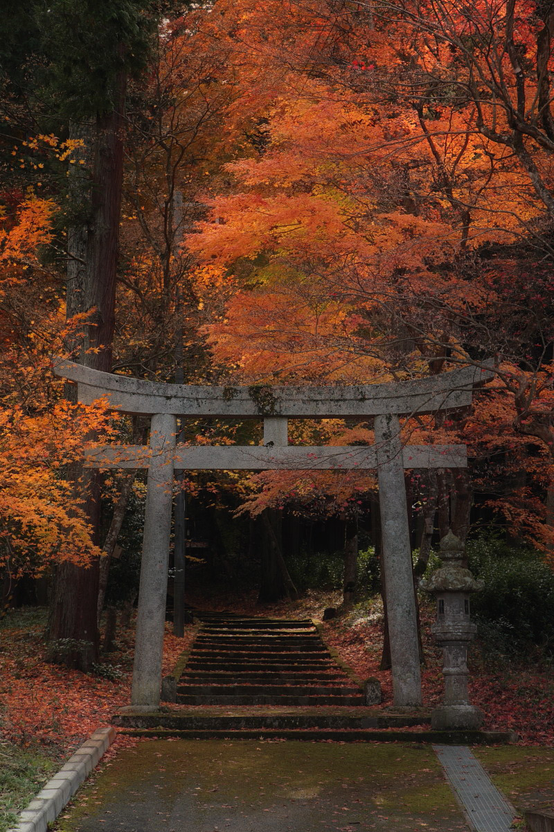 丹波紅葉オフ　<二宮神社>　　1_f0021869_055976.jpg