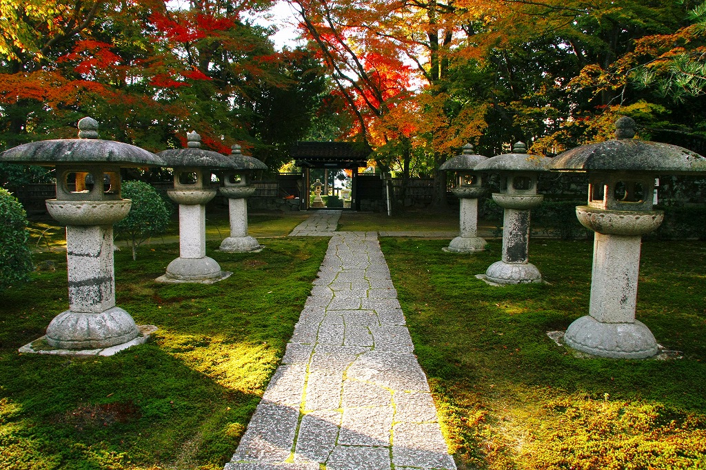 坂本の紅葉3 慈眼堂_c0196076_23405078.jpg