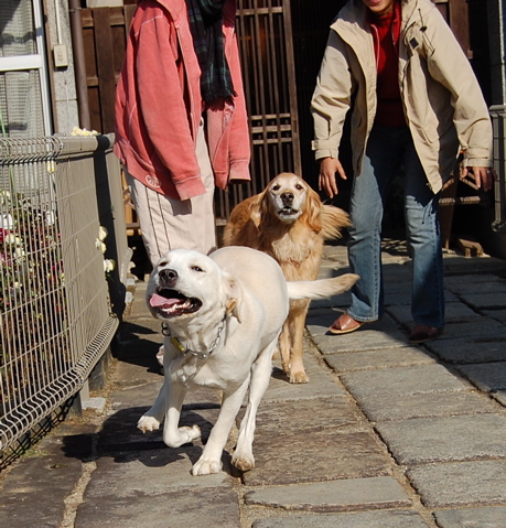 a0061977_0214373.jpg