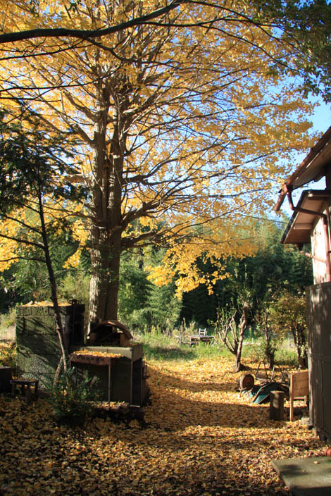 中島ABさん、ペンキ塗り、寺子屋の回。_e0128680_220433.jpg