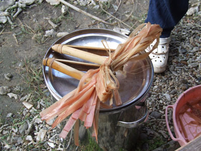 糸芭蕉_e0028387_23235379.jpg