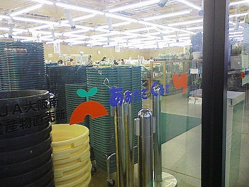 b0100489_63737.jpg
