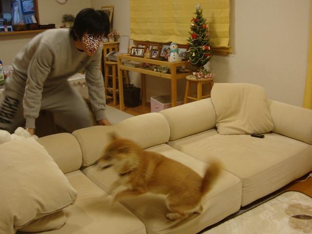 たくさん遊んで頂戴な!_a0126590_0125755.jpg