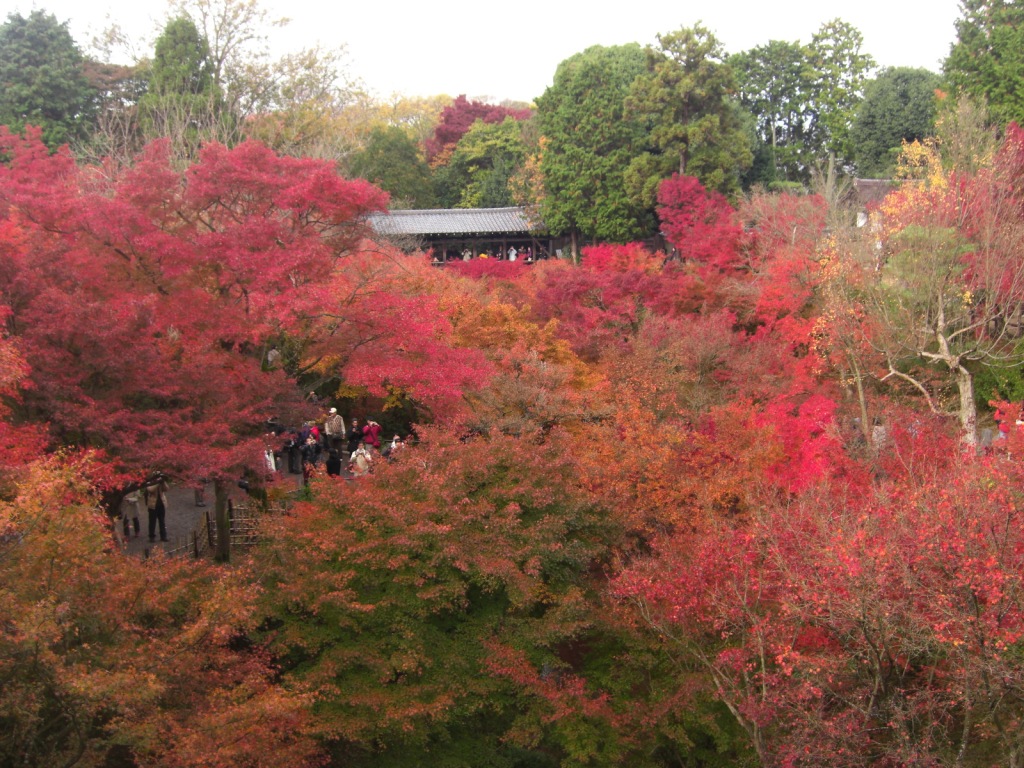 b0112890_2041308.jpg