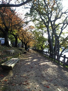 1年に1度_a0107193_10293478.jpg