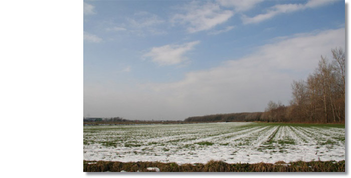 f0146493_22451916.jpg
