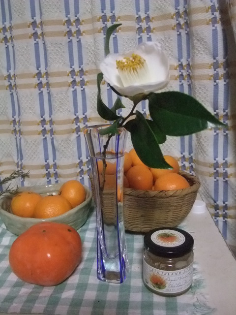 c0183801_11273226.jpg