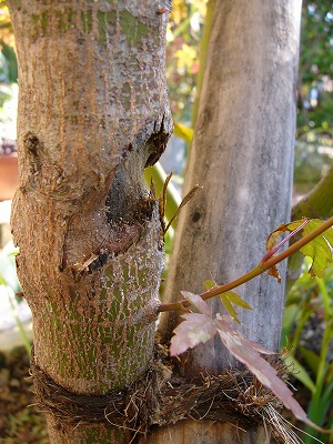 a0123003_18362470.jpg
