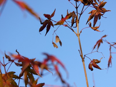 a0123003_18375048.jpg