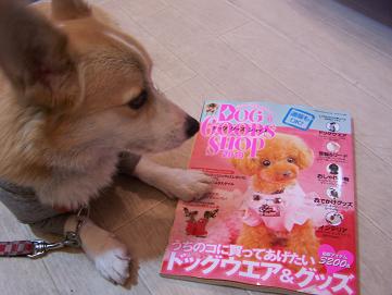 DOG DOODS SHOP 2010発売です！_c0126703_18411927.jpg