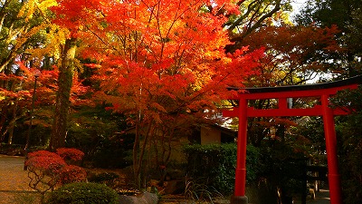 真っ赤かの山。_e0183004_18324263.jpg