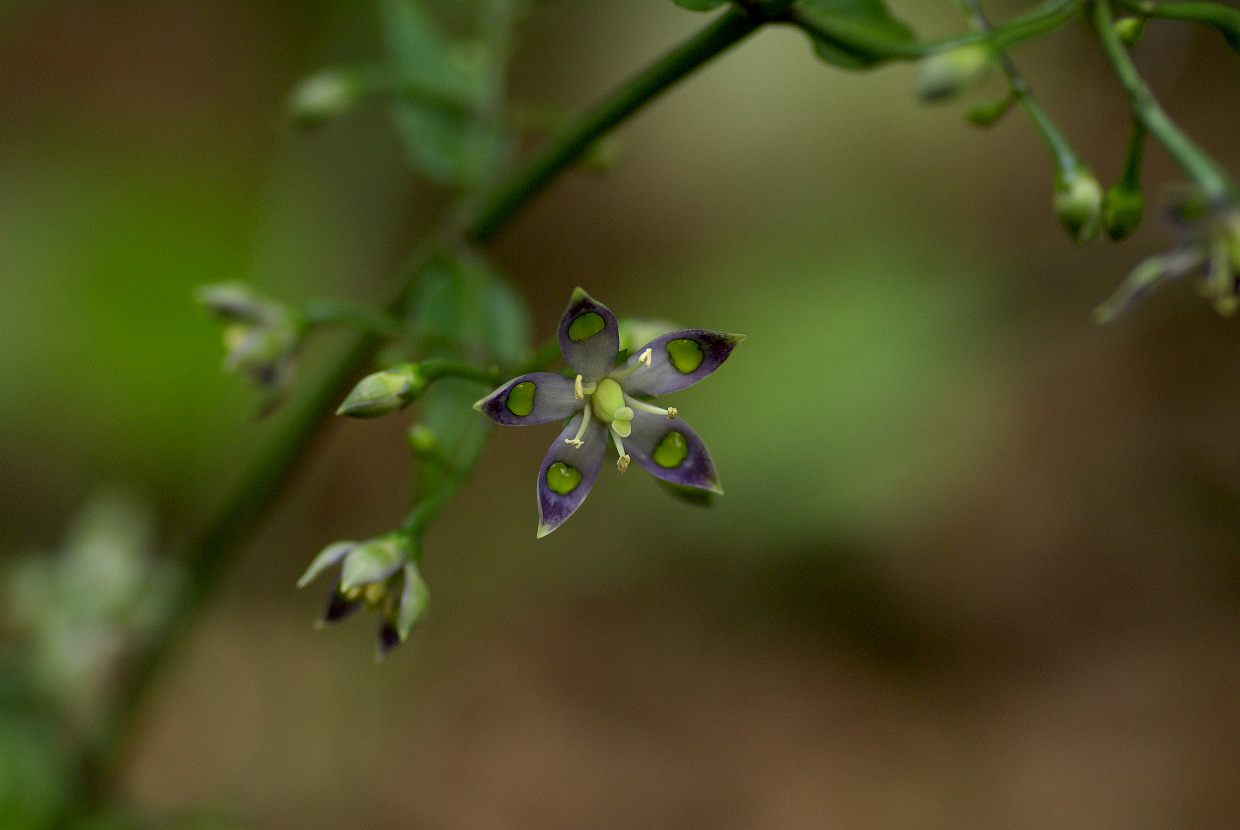 b0174905_815850.jpg