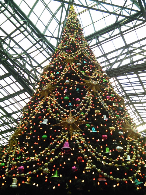 c0136711_21165250.jpg