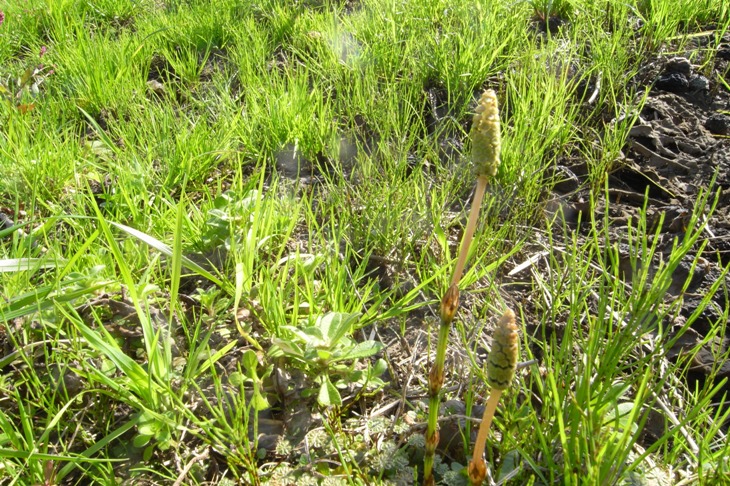 c0107924_18391221.jpg
